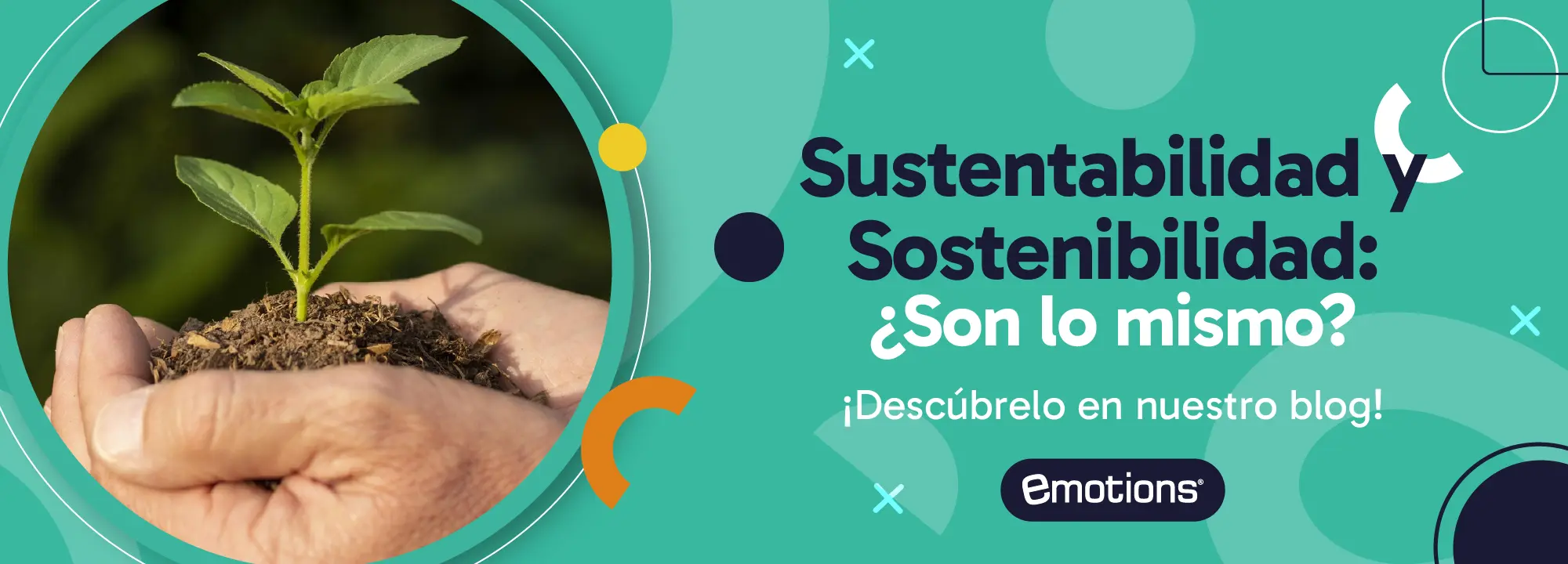 Sustentabilidad y Sostenibilidad: ¿Son lo mismo?