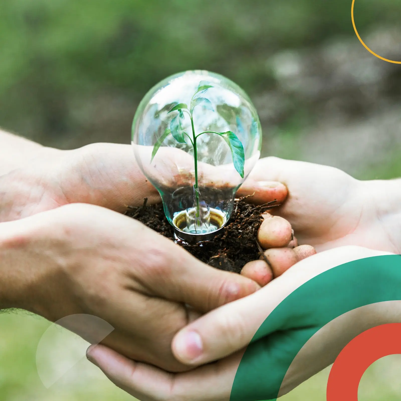 Sostenibilidad es construir sistemas y estructuras capaces de adaptarse a los cambios y desafíos futuros.